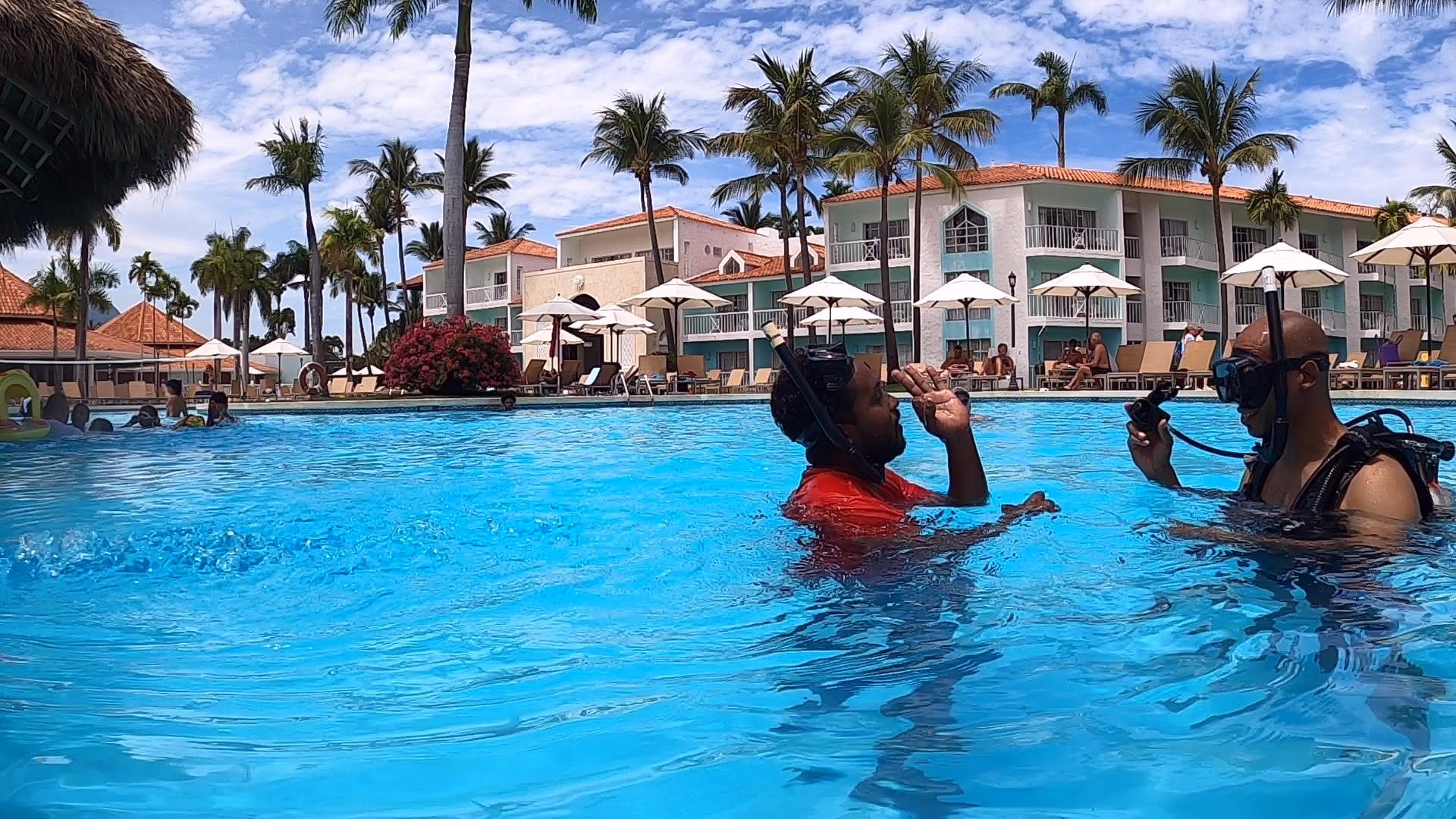 Poolside AI lesson